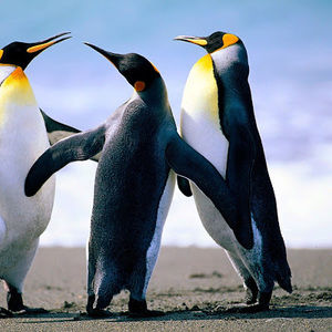 Meet your Posher, Thu